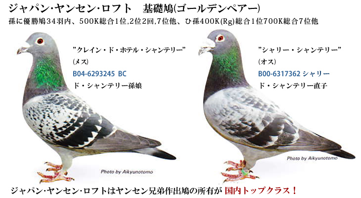 ヤンセンロフト