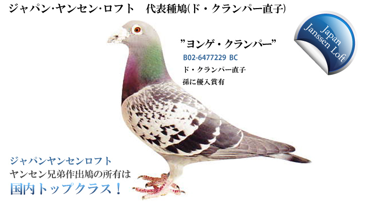 ヤンセンロフト