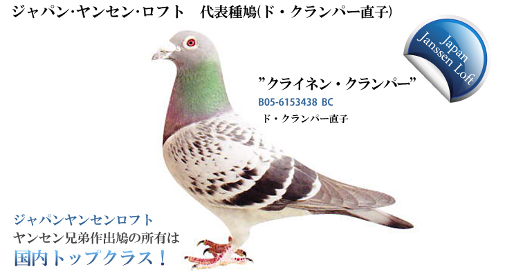 ヤンセンロフト